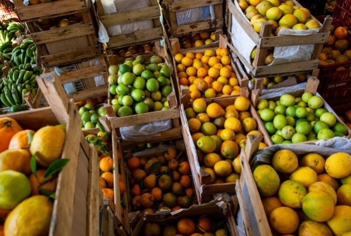 UFV oferece bolsas de extensão para incentivo na agroecologia e produção orgânica da Zona da Mata-MG