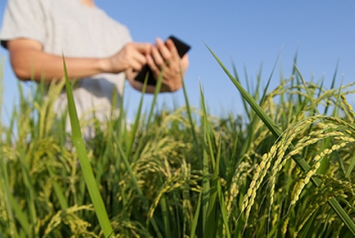 Curso técnico em agronegócio será promovido gratuitamente em Viçosa