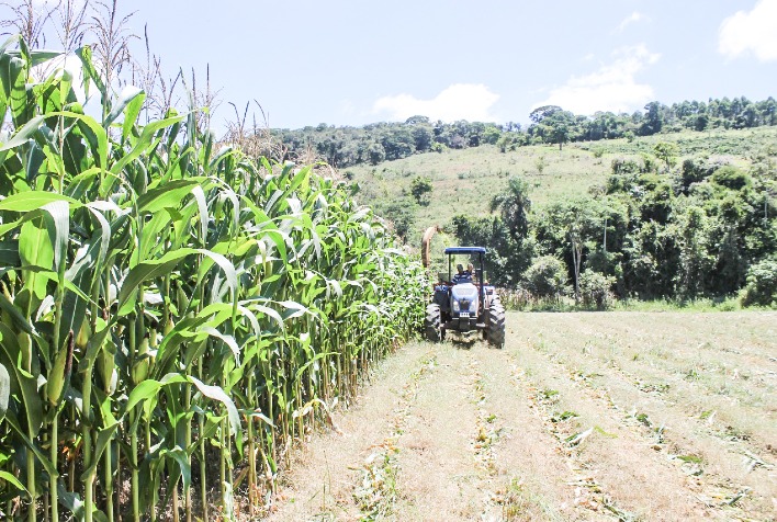 Abertas as inscrições para o Programa de Mecanização Agrícola da Prefeitura de Viçosa