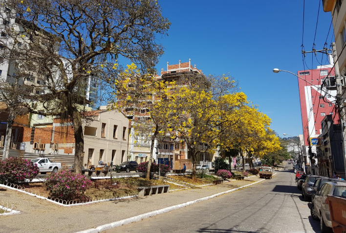 Mudas de flores são furtadas na avenida Santa Rita