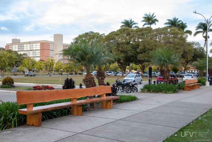 Novos bancos no campus da UFV são feitos com madeira reutilizada