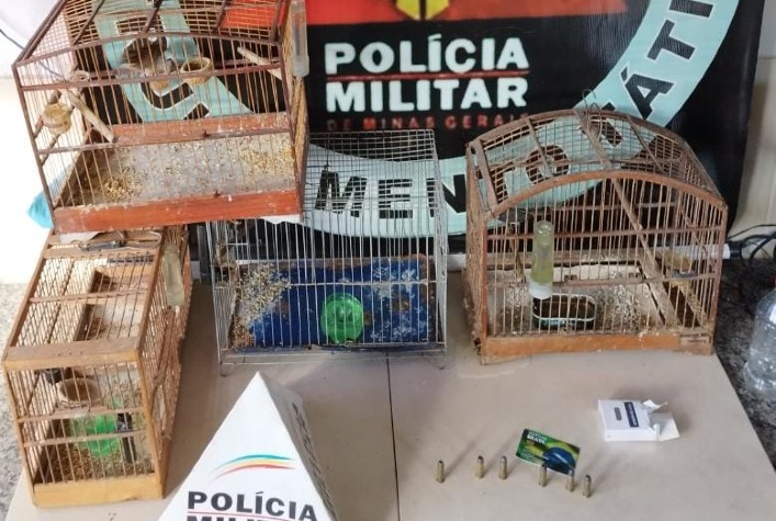 PM apreende pássaros silvestres e munição em casa na rua São José