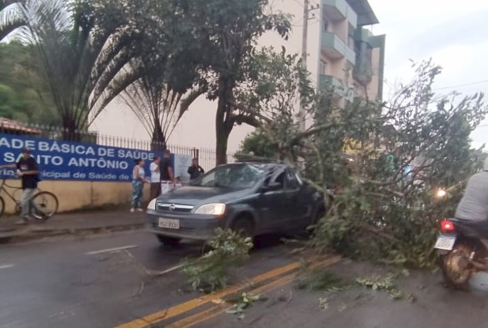 Árvore se parte e atinge carro em movimento no bairro Santo Antônio