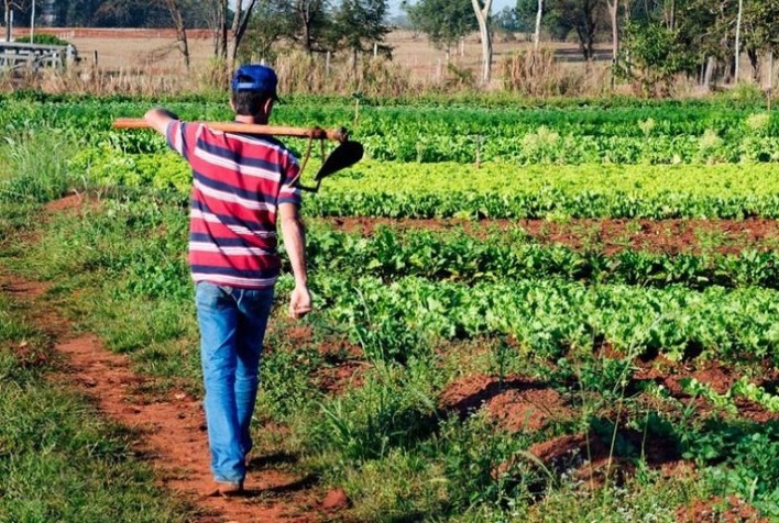 UFV abre edital para aquisição de alimentos de agricultores familiares