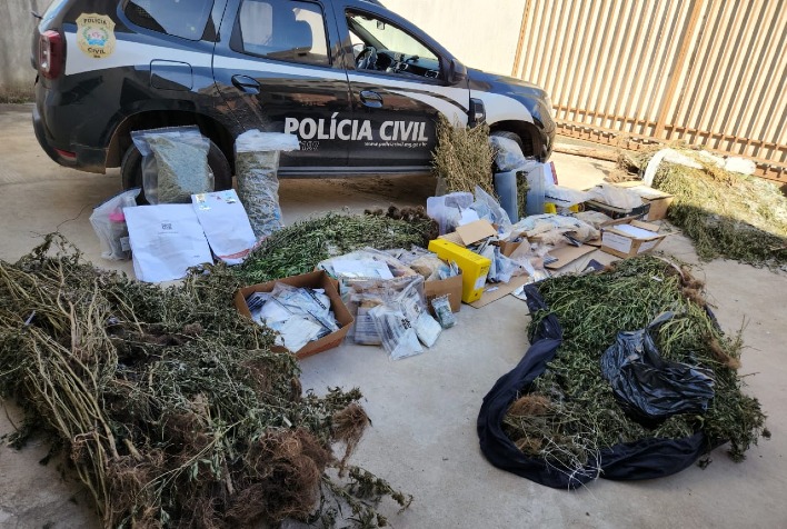 Polícia Civil incinera pés de maconha apreendidos em Viçosa