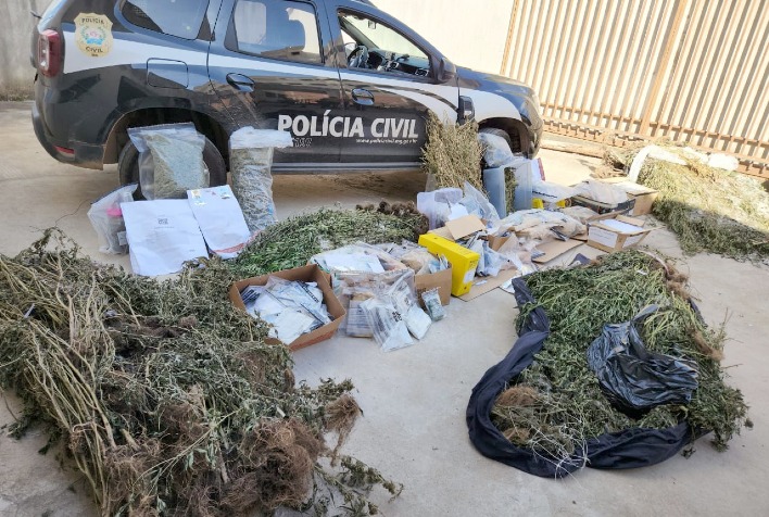 Dono dos “laboratórios de maconha” descobertos em Viçosa já está em liberdade