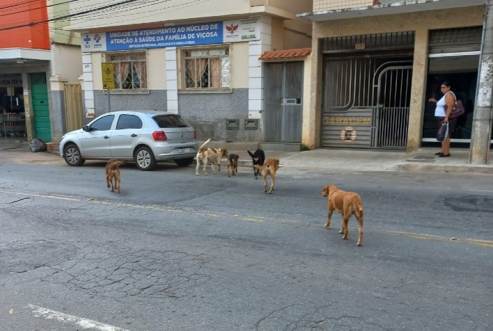 Audiência microrregional sobre abandono de animais e mudança no Cismiv teve pouca adesão