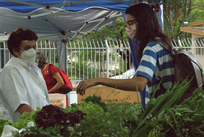 Quintal Solidário desta quarta (5) traz oficinas sobre alimentos