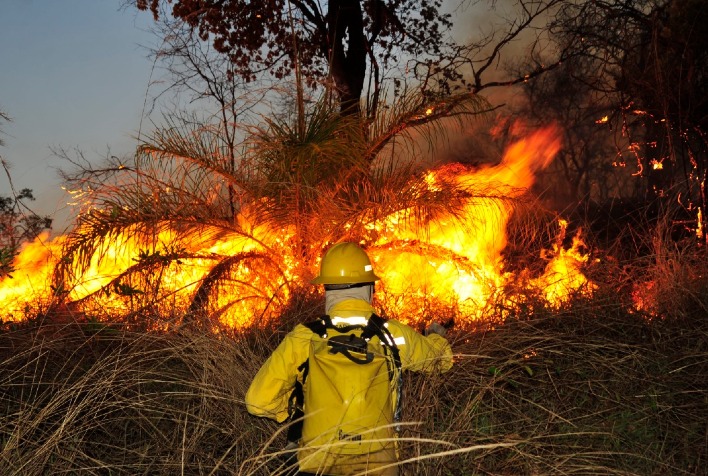 Governo de Minas intensifica ações para coibir incêndios criminosos