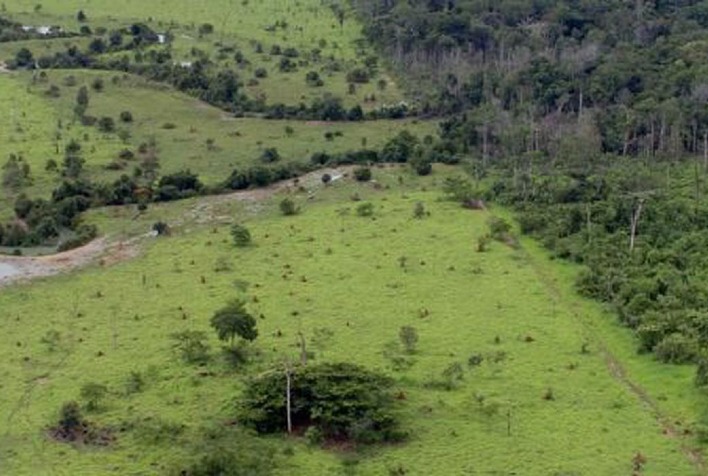 Aberto o prazo para entrega da Declaração do Imposto Territorial Rural