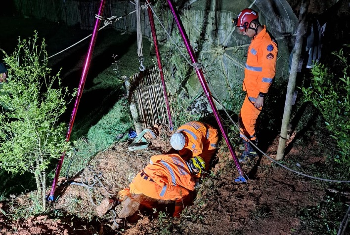 Bombeiros resgatam vaca que ficou presa em vala na zona rural de Teixeiras