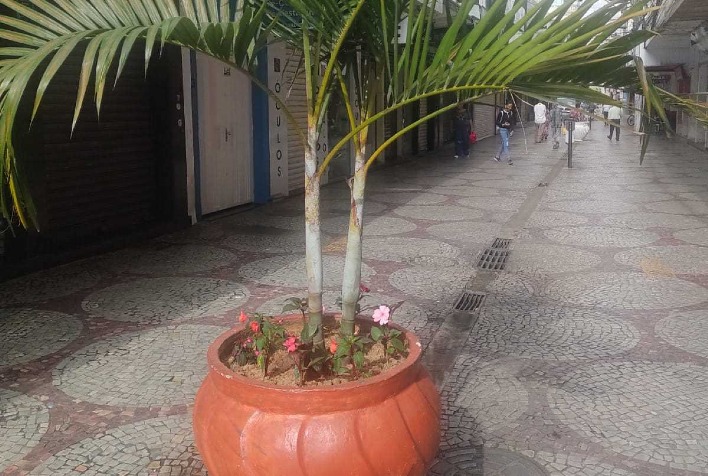 Bancos e vasos de plantas  do calçadão e calçadinho são revitalizados