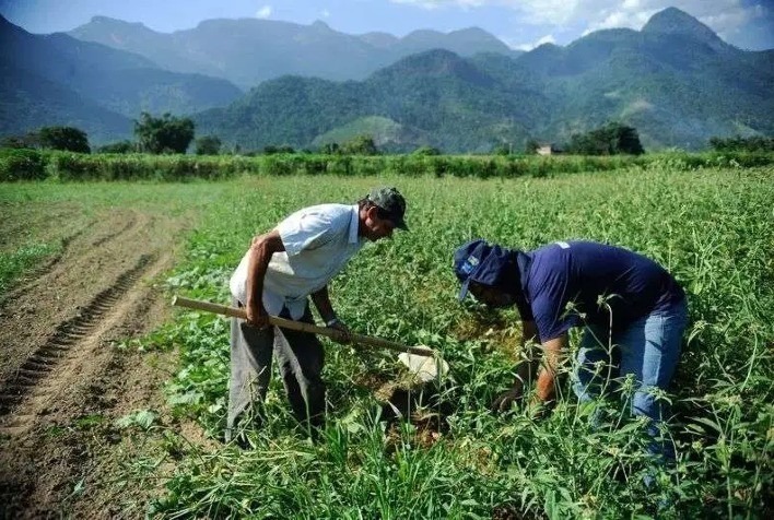 Termina nesta sexta entrega da Declaração do Imposto Territorial Rural