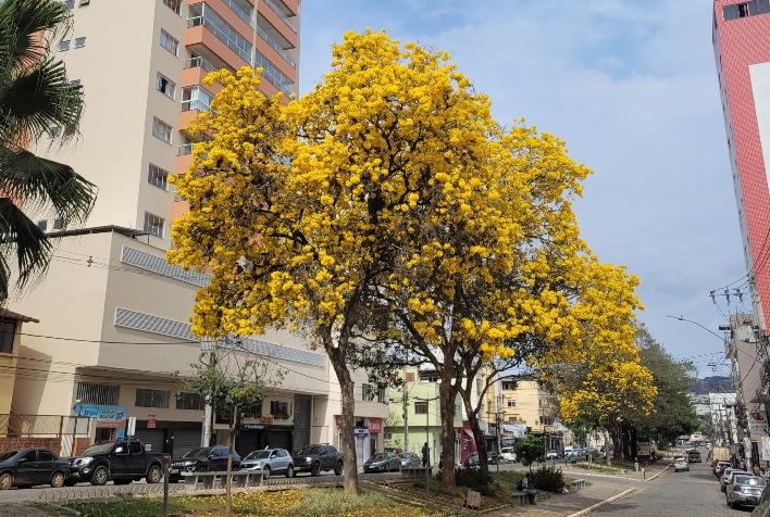 Confira como fica o tempo em Viçosa e região neste fim de semana