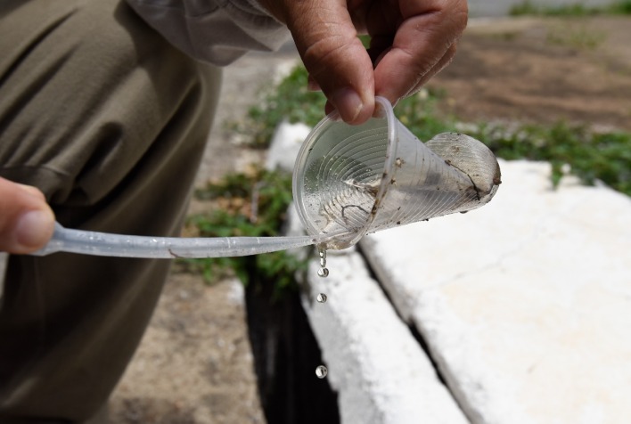 Viçosa começa ano com 10 casos de dengue em investigação