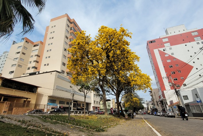 Confira como fica o tempo em Viçosa e região nesta segunda-feira (22)