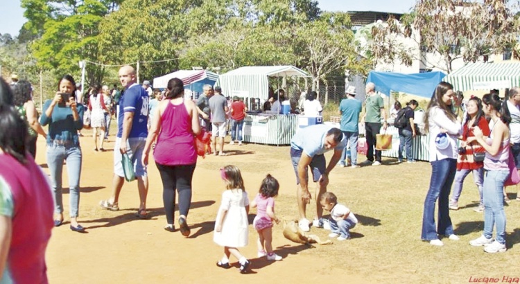 Mais uma Feira Agroecológica da Violeira neste domingo