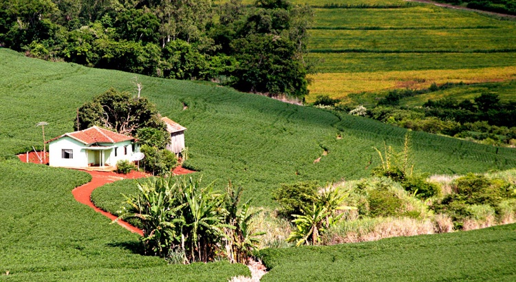 Últimos dias para emissão de documentação de Imóvel Rural