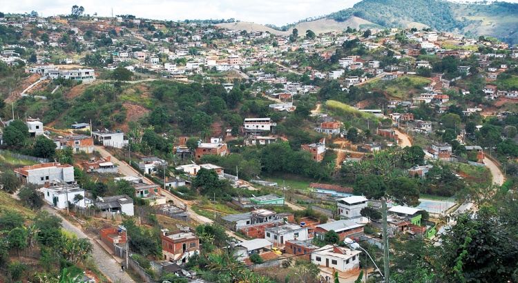 Plantio de árvores em Nova Viçosa