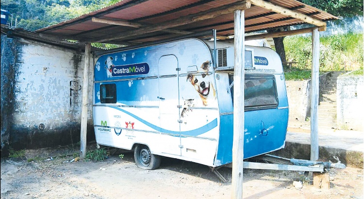 Sovipa fala sobre controle populacional de animais de ruas