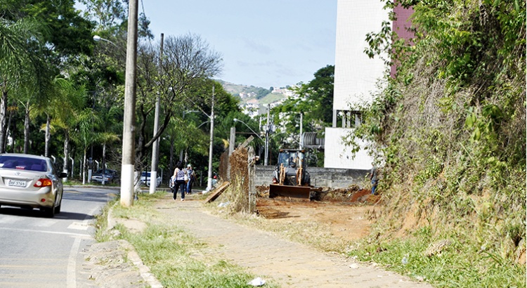 Lote abandonado é reflorestado na avenida Castello Branco