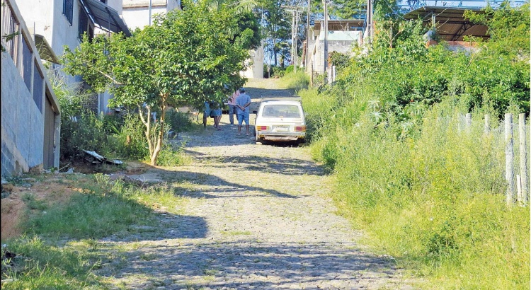 Mato e abandono de imóveis preocupam vizinhos