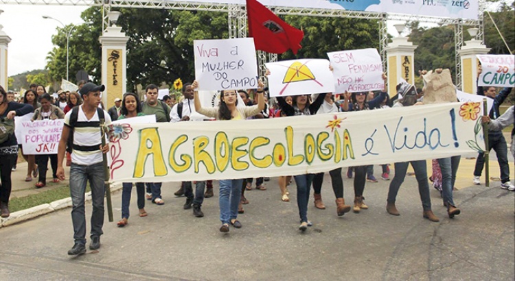Representantes do Sudeste debatem Agroecologia na região